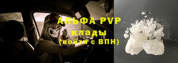 стаф Каменногорск