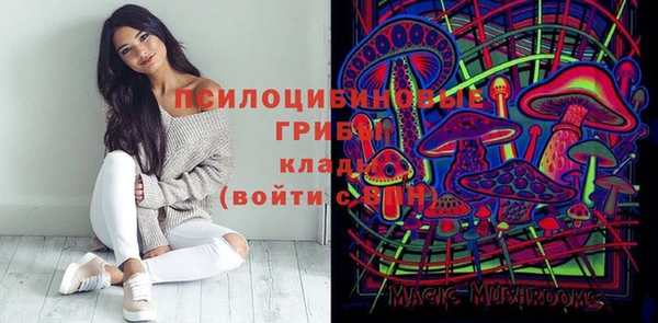 бутират Бугульма