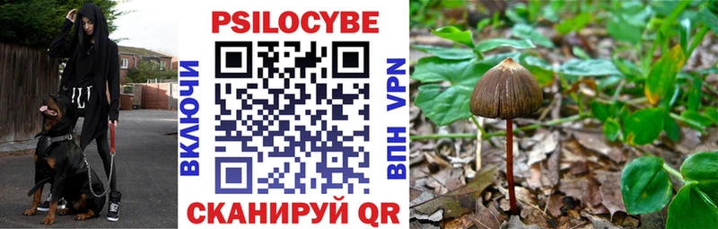 Псилоцибиновые грибы Psilocybine cubensis  хочу наркоту  Рузаевка 